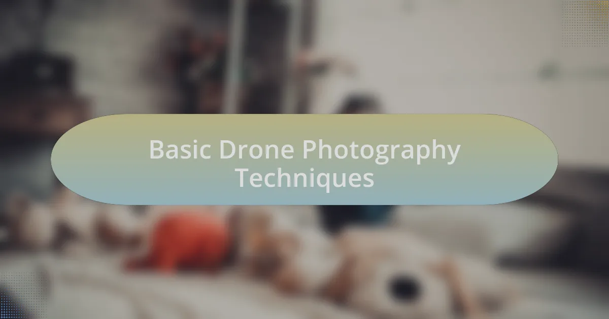 Basic Drone Photography Techniques