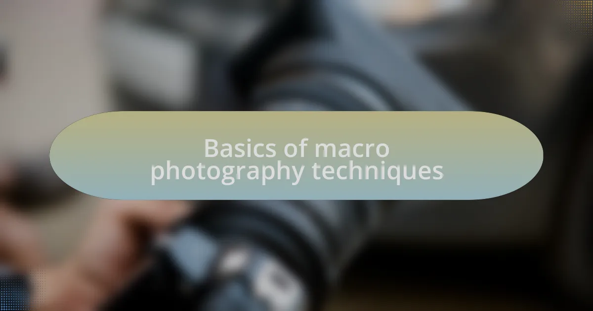 Basics of macro photography techniques
