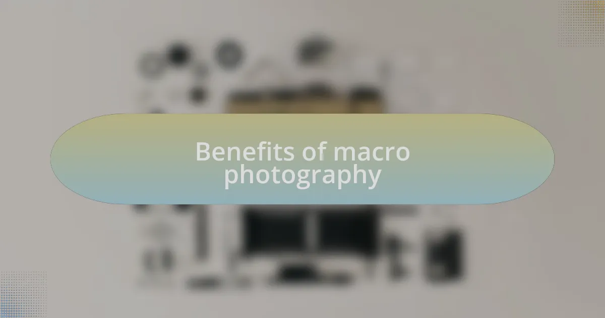 Benefits of macro photography