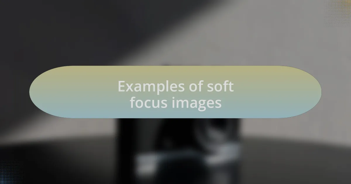 Examples of soft focus images