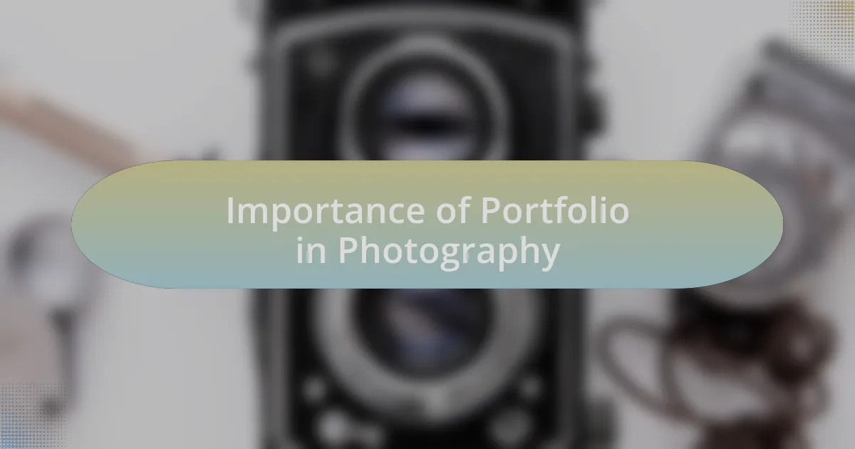 Importance of Portfolio in Photography