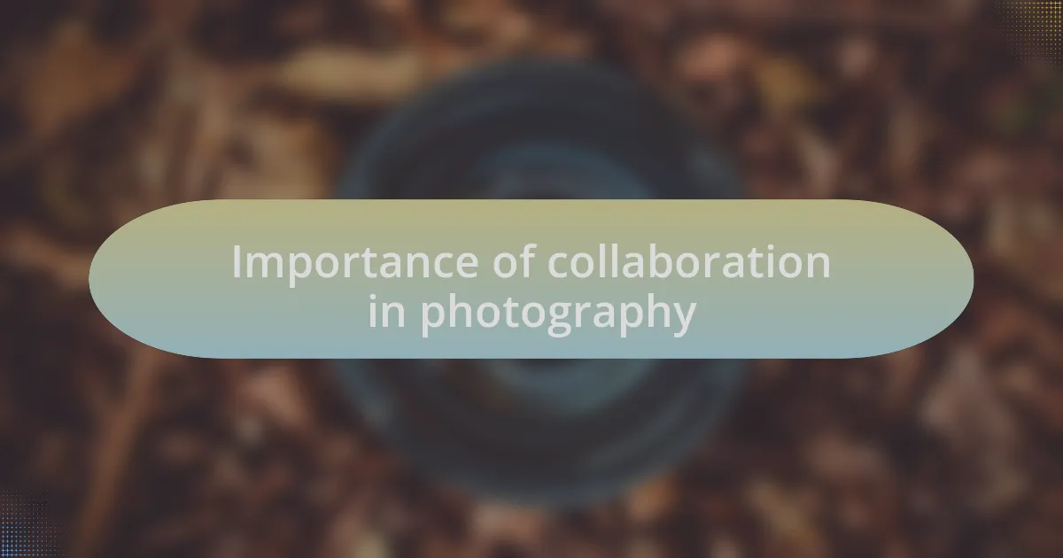 Importance of collaboration in photography
