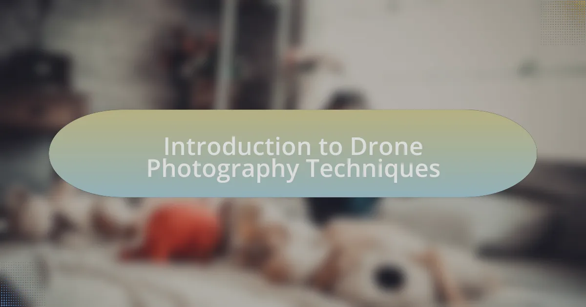 Introduction to Drone Photography Techniques