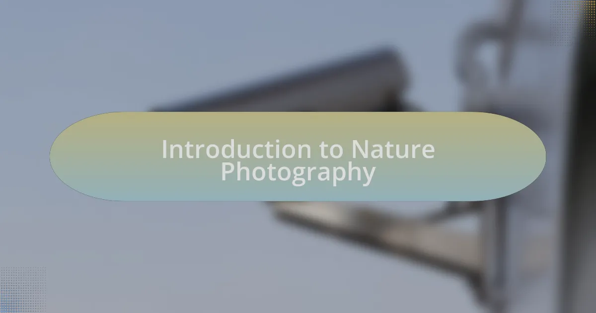Introduction to Nature Photography