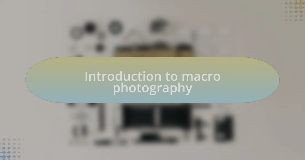 Introduction to macro photography