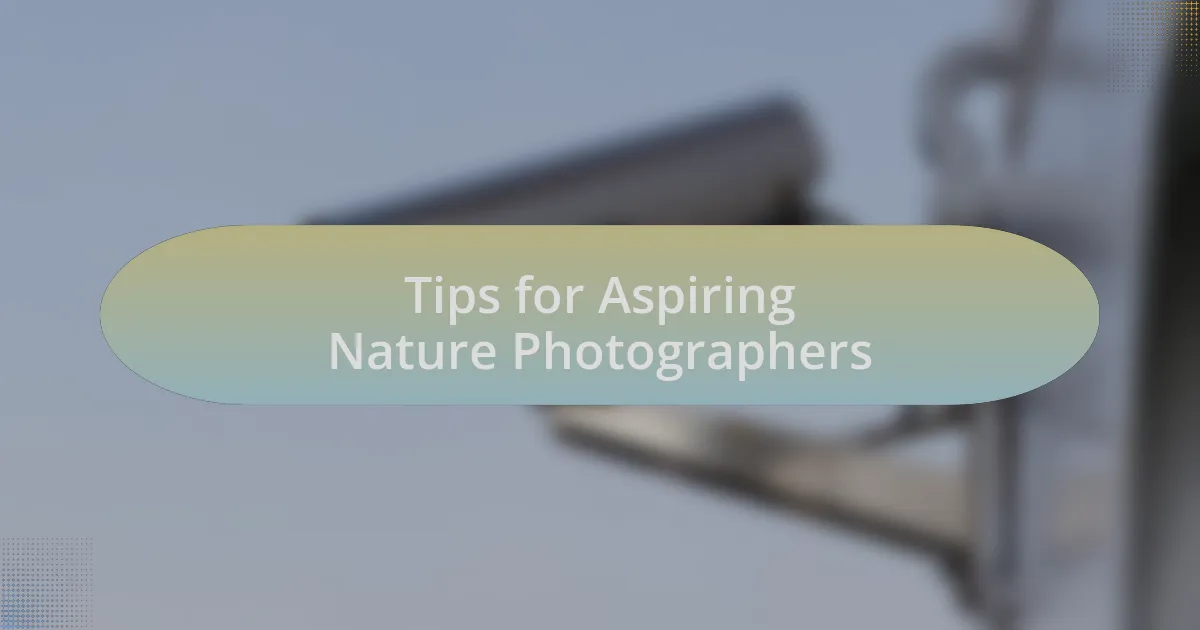 Tips for Aspiring Nature Photographers