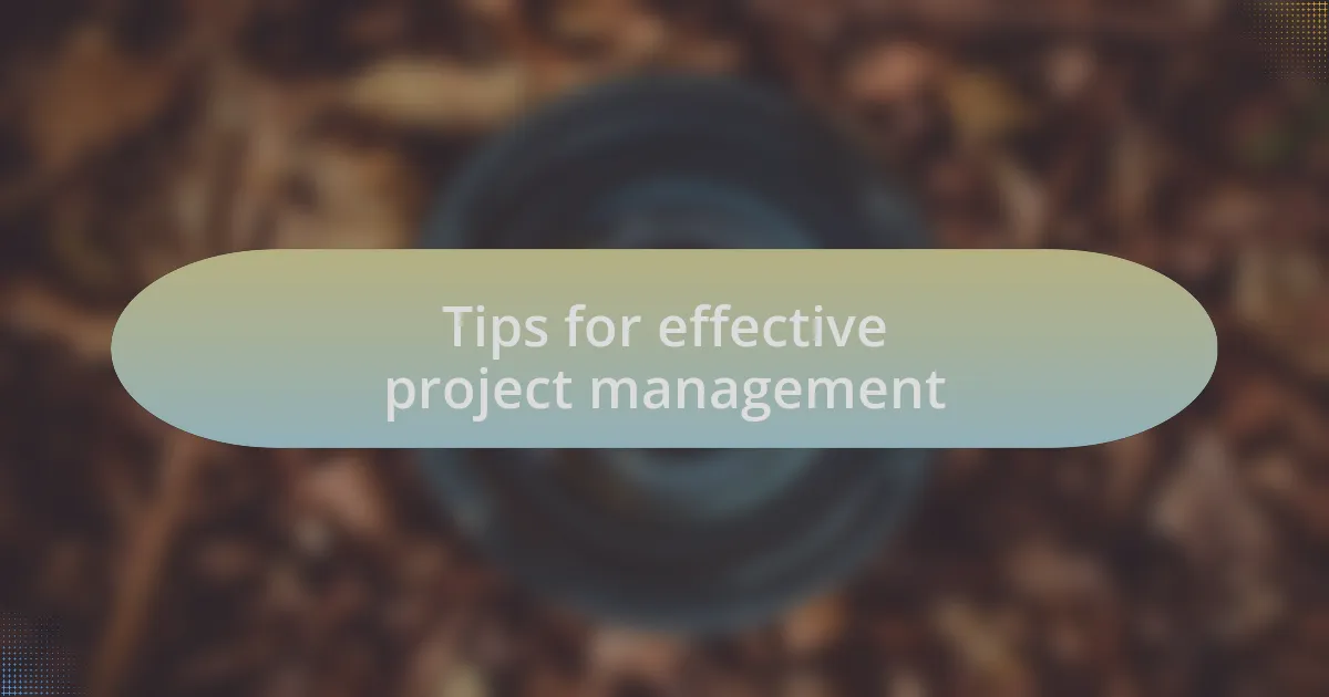 Tips for effective project management