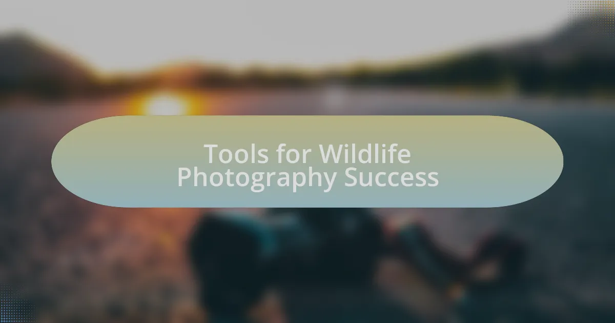 Tools for Wildlife Photography Success